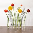 thumbnail image 3 of DIY Glass Test Tube Plant Terrarium Vase Flower Pots Desktop Plant Terrarium for 8pcs large, 3 of 8