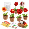 thumbnail image 2 of BUYISI Crochet Kit for Beginners Knitting Kit with Animal DIY Craft Art Gifts, 2 of 8