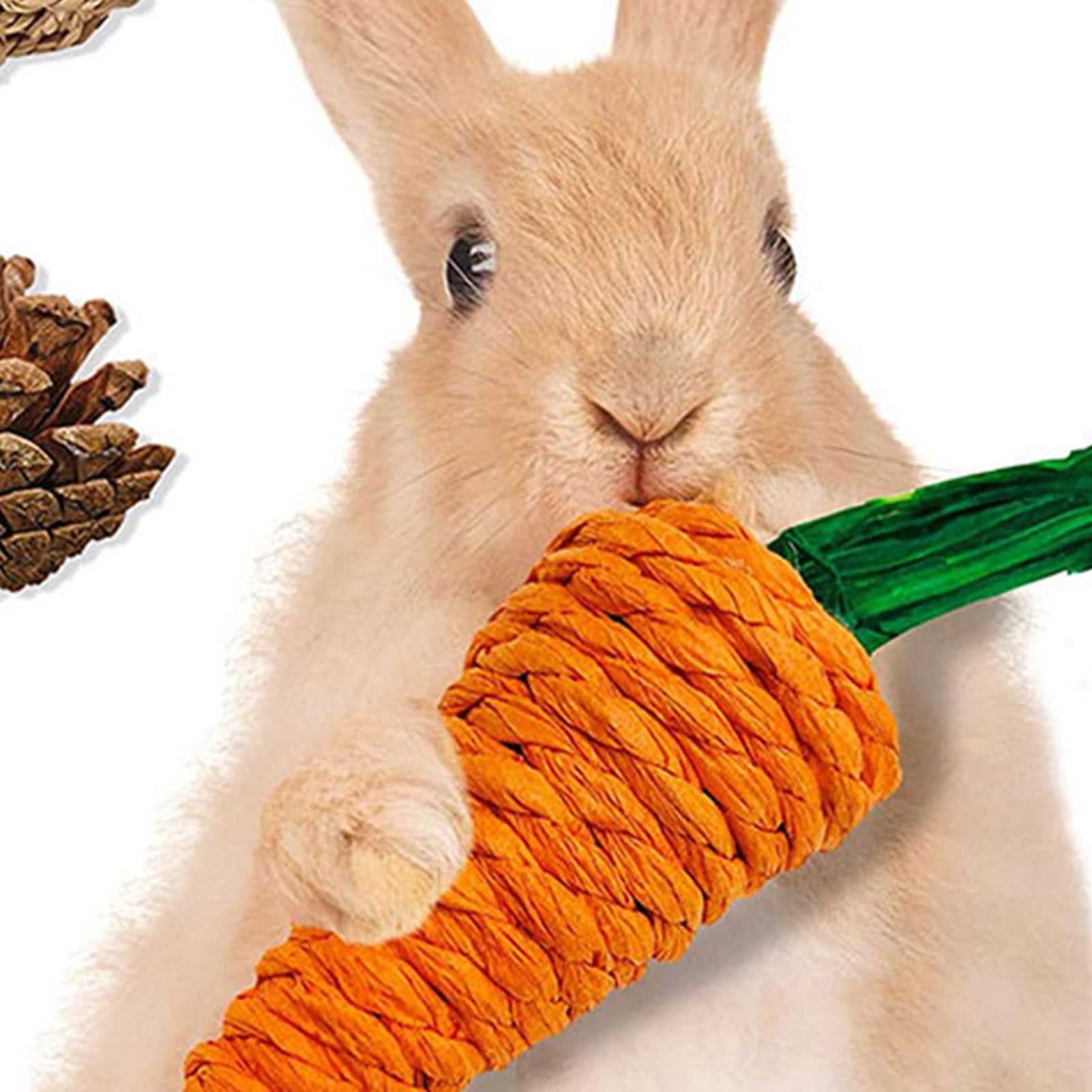 DOPI 7Pcs/Set Molar Toy Safe Eye-catching Wood Play Carrot Molar Toy Set for Small Animals