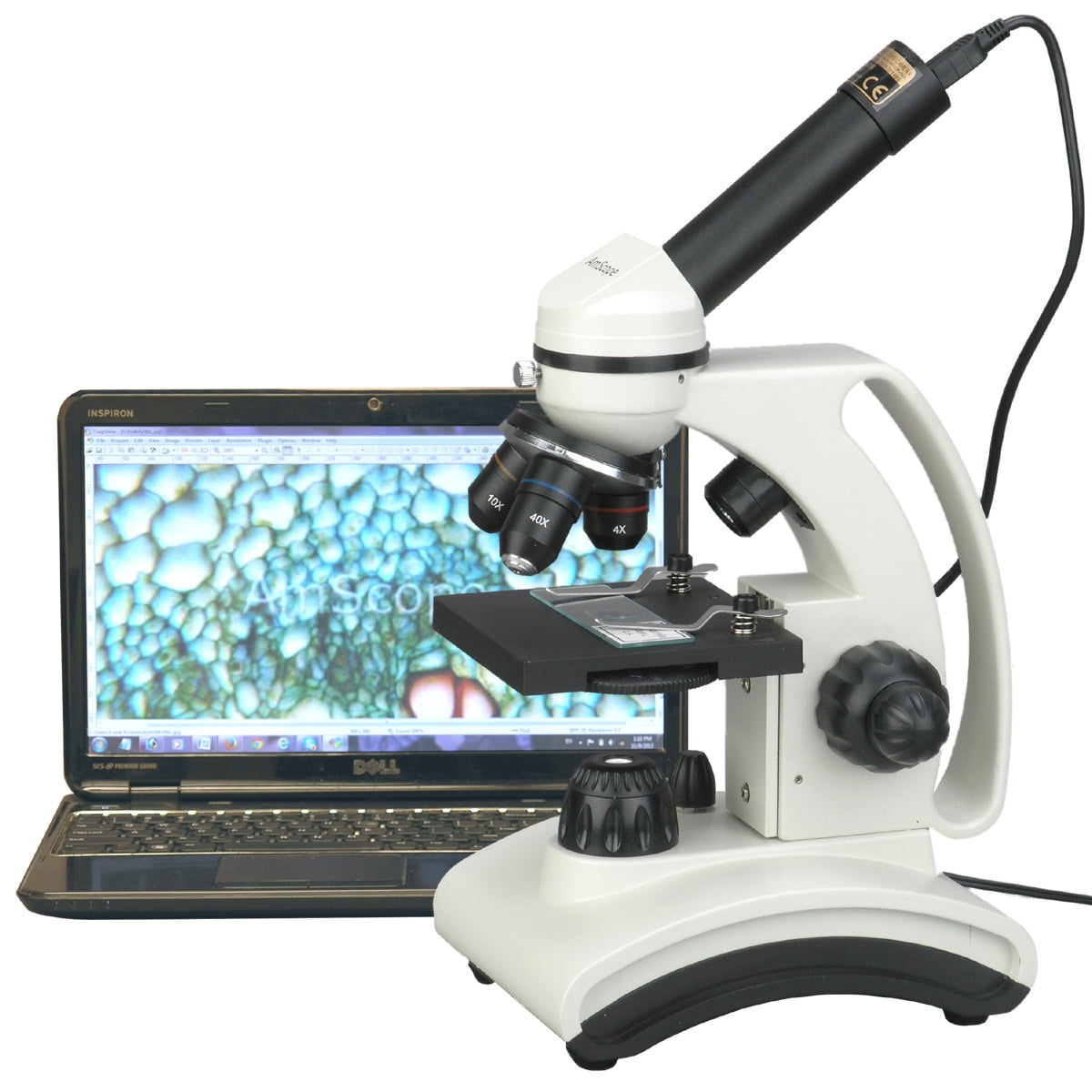 AmScope 40X-1000X 2MP Digital Dual Light Glass Metal Biological Microscope + Slide Set by United Scope