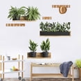 thumbnail image 2 of Pegatina de Pared Bewildely 2 Piezas Calcomanía Decorativa de Planta Papel Tapiz Autoadhesivo, 2 of 6