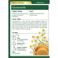 thumbnail image 3 of Traditional Medicinal's Organic Chamomile Tea, 16 Tea Bags per Box (Pack of 3 Boxes), 3 of 5