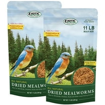 Exotic Nutrition Dried Mealworms 22 lb.