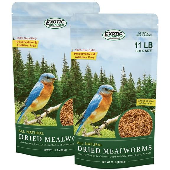Exotic Nutrition Dried Mealworms 22 lb.