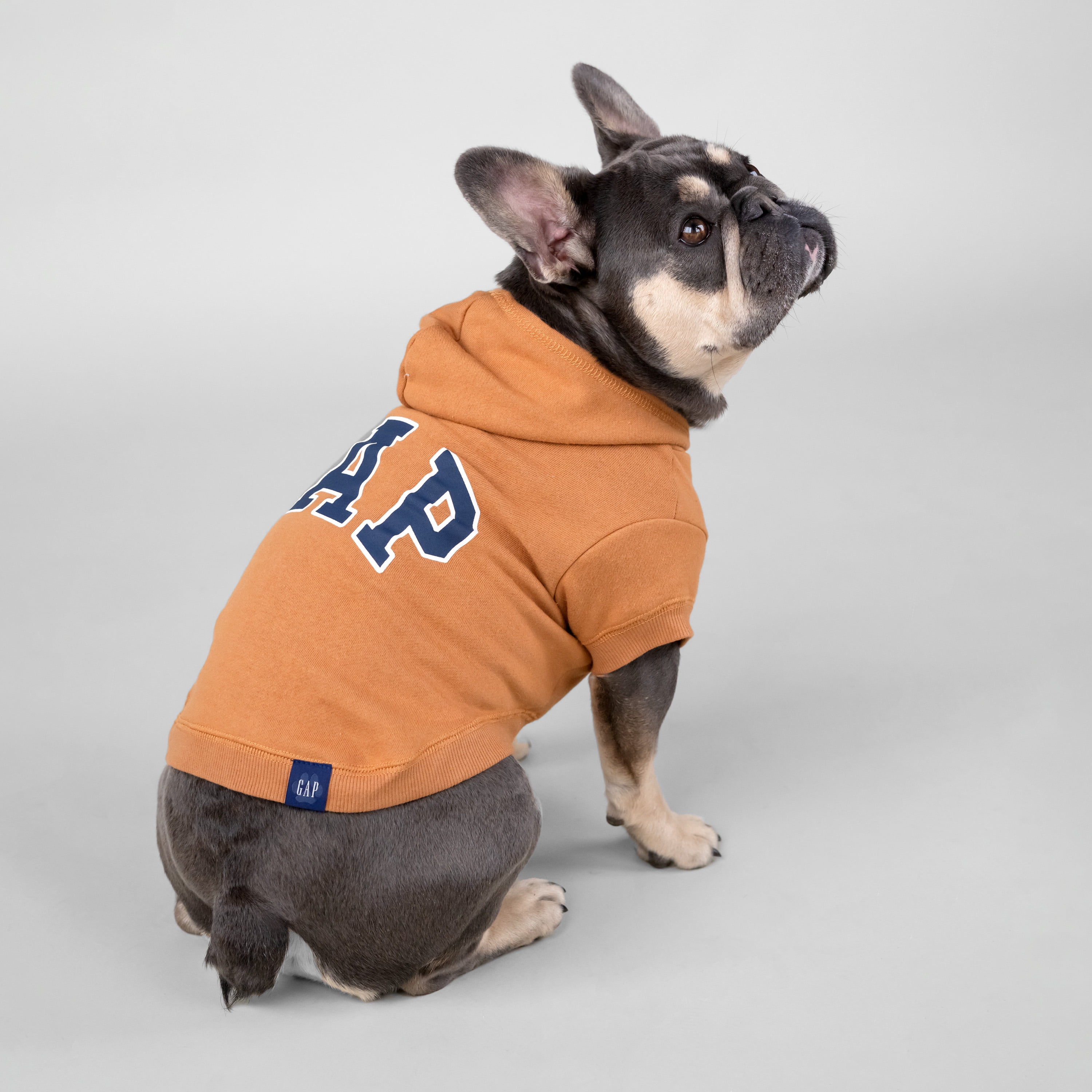 gap cat hoodie