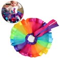 thumbnail image 2 of Rainbow Tutu Skirts Ballet Dance Dress Ruffle Tiered Tutus Photography Layered Tutu Ruffle Skirt Dress For Girls Size M, 2 of 6