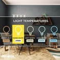 thumbnail image 4 of Bulbrite  Multi Pack of Dimmable Clear Globe Incandescent Bulb G40 Medium (E26) Pack of (12) 60 Watt, 4 of 5