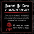 thumbnail image 6 of Haunted Hill Farm 3.7 ft. Scary Hanging Black Spider Decoration with Beady Eyes | Halloween Haunted House Props | Furry Body with Poseable Legs | HHSPD-8F, 6 of 8