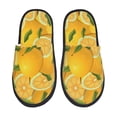 thumbnail image 1 of Balery Yellow Limes Pantuflas de Casa de Felpa Silenciosas con Diseño Estampado, Zapatillas Cómodas Antideslizantes de Algodón para Interior-Large, 1 of 8
