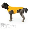 thumbnail image 2 of JAN & JUL Dog Rain Jacket (Yellow, Size: XL), 2 of 9