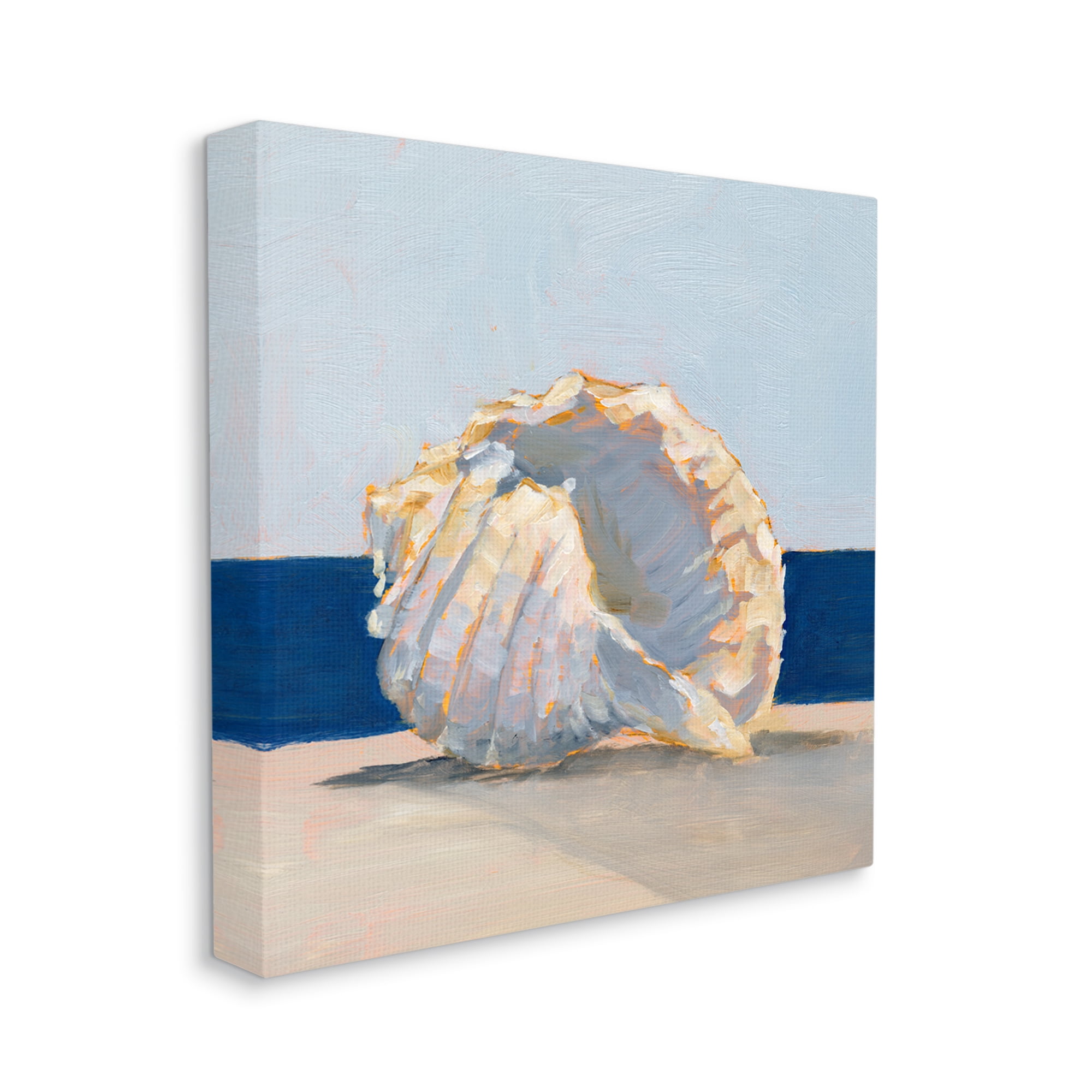 Stupell Industries Nautical Conch Painting Animals & Insects Painting Gallery Wrapped Canvas Print Wall Art, 36 x 36