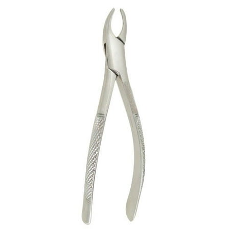Dental Extracting Forceps #62 6.5”