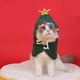 thumbnail image 5 of Disfraz de Navidad para perros - Capa con estrella para cachorros - Ropa para fiestas de cosplay para gatos y perros pequeños y medianos Verde L, 5 of 6