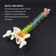 thumbnail image 3 of Guardurnaity Modelo anatómico profesional de columna vertebral, modelo de columna vertebral resistente al agua extraíble, recursos de enseñanza, Ayudas para vestirse con gancho de botón, 3 of 6