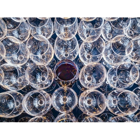 USA, Washington State, Seattle. One glass of red wine in a row of wine glasses. Print Wall Art By Richard (Best Washington Red Wines)