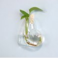 thumbnail image 4 of 2PCS Wall Hanging Glass Plant Terrarium Container Heart Shape Perfect for Propagating Hydroponic Plants Home Garden Decoration Wedding, 4 of 5