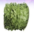 thumbnail image 4 of ITSELFER 2PCS Wreath Leaves Decorations Simulation Green Rattan DIY Garland Ornament Background Hanging Rattan for Door Window, 4 of 5