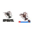 thumbnail image 1 of 2 uds simulación modelo de langosta Macarena decoración de utilería Figuras de animales, 1 of 8