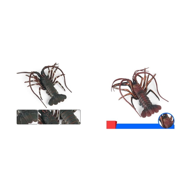 2 uds simulación modelo de langosta Macarena decoración de utilería Figuras de animales