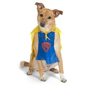 Super Hero Fashion Pet Costume