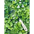 thumbnail image 4 of DeWit Cape Cod Right-Hand Weeder, Tempered Boron Steel Blade, Ash Wood Handle, 11.75 in, 4 of 5