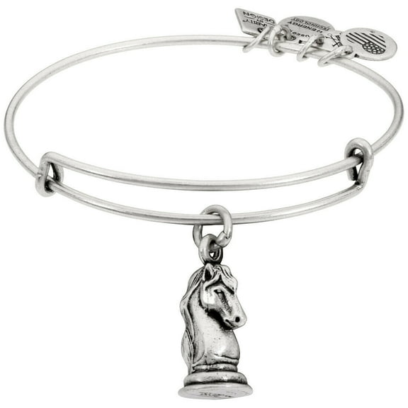 Alex And Ani The Knight Charm Bangle