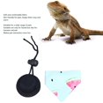 thumbnail image 3 of Suave y Cómodo Juego de Bandana con Sombrero de Dragón Barbudo para Lagartos Hámsteres y Animales Pequeños Disfraz Lindo y Elegante para Halloween y Fiestas ANGGREK Otros, 3 of 8