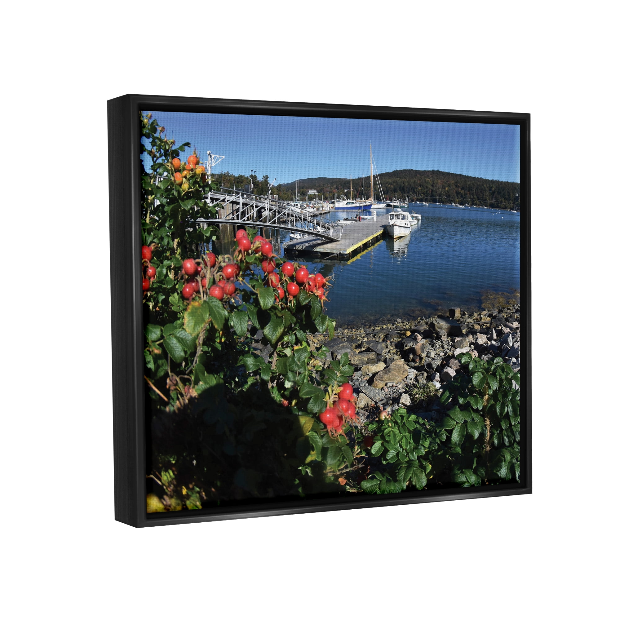 Stupell Industries Boat Harbor Photography Nature Photography Black Floater Framed Art Print Wall Art, 21 x 17