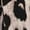 Mixed Color, variant on Women'S Elegant Sleeveless Leopard Print Summer Dress Slim Fit Fashion Street Style Chic Mixed Color S