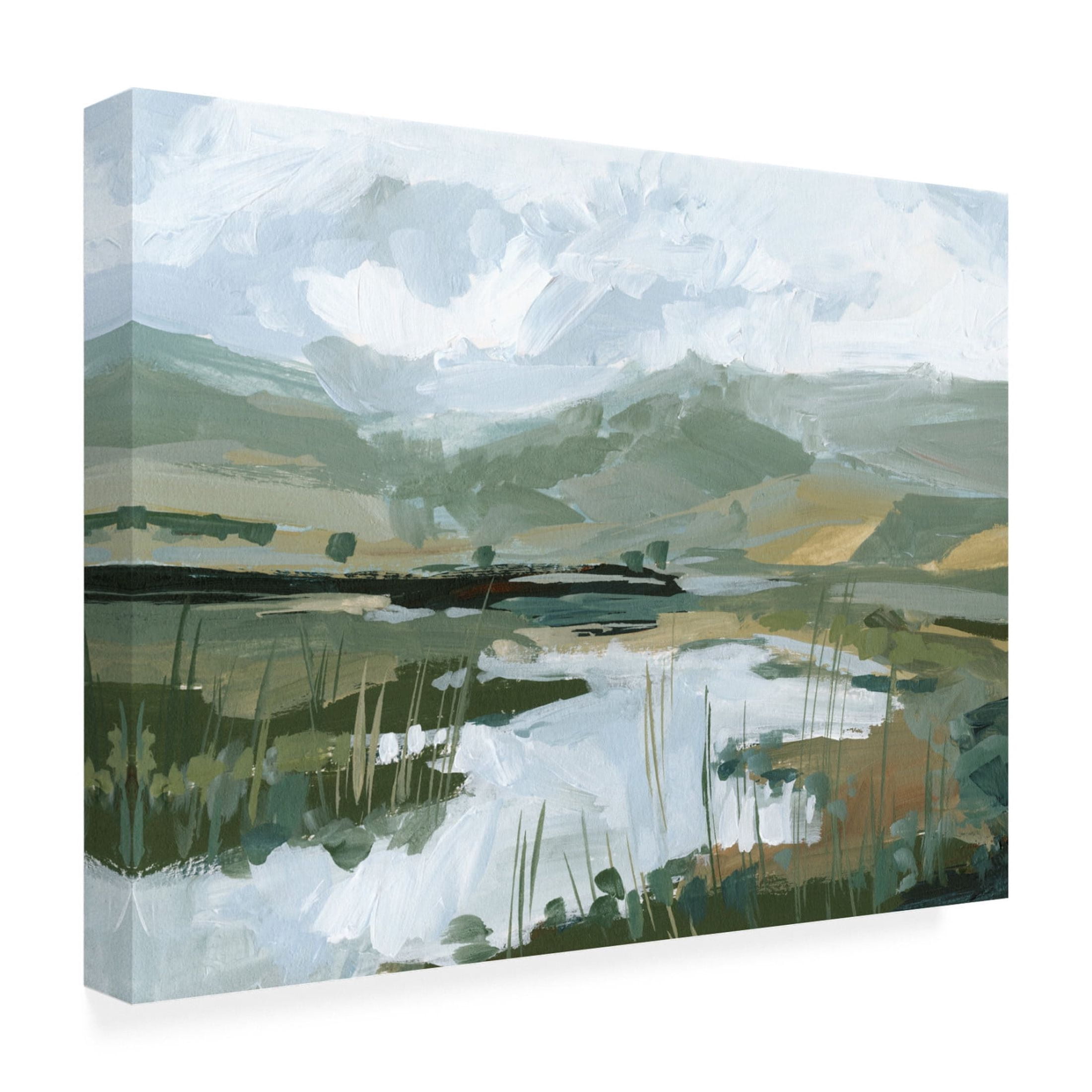 Trademark Fine Art Victoria Barnes Wetland Vista II Canvas Wall Art