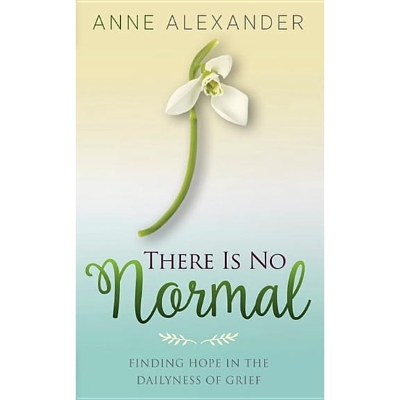 There Is No Normal : Finding Hope in the Dailyness of Grief (Paperback)
