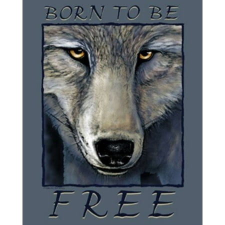 - Wolf Eyes by Peter Kull 16x20 Art Print Poster Born To Be Free Wild Animal Native AmeriPrint Animal Posters