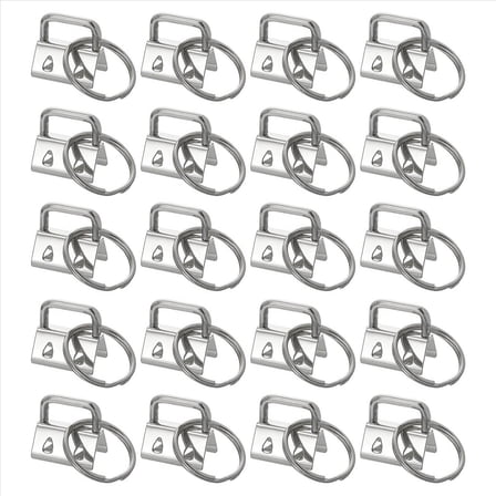 20PCS Key Fob Hardware with Keychain Rings for Bag Webbing,Silver pwm25