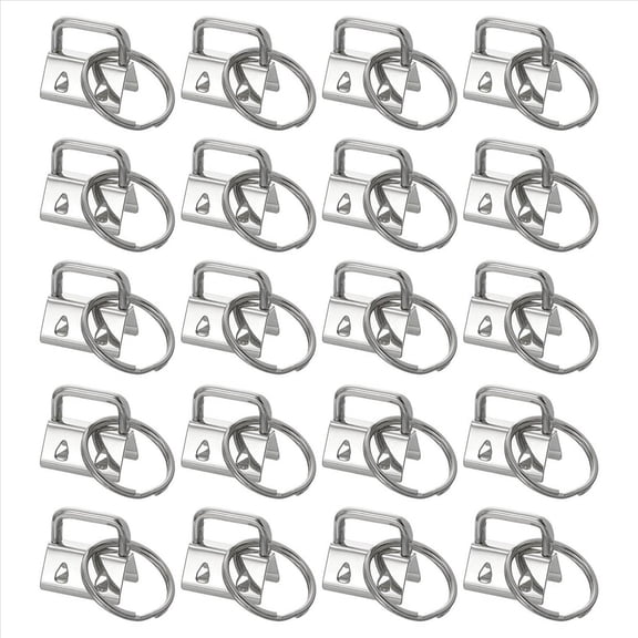 20PCS Key Fob Hardware with Keychain Rings for Bag Webbing,Silver pwm25