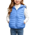 thumbnail image 2 of BLVB Boys Girls Hooded Puffer Vest Winter Lightweight Sleeveless Cute Ears Zipper up Jacket Waistcoat for Kids(Blue,12-13 Years), 2 of 9