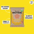 Bearded Brothers Organic Vegan Protein Energy Bars Gluten and Soy