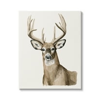 Stupell Industries Elk Portrait Wildlife Animals & Insects Painting Gallery Wrapped Canvas Print Wall Art, 24 x 30