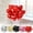 Red, variant on Heart Foil Balloons Mylar Party Decorations for Weddings Anniversaries Valentines Day and Romantic Events 10 Pack Gold