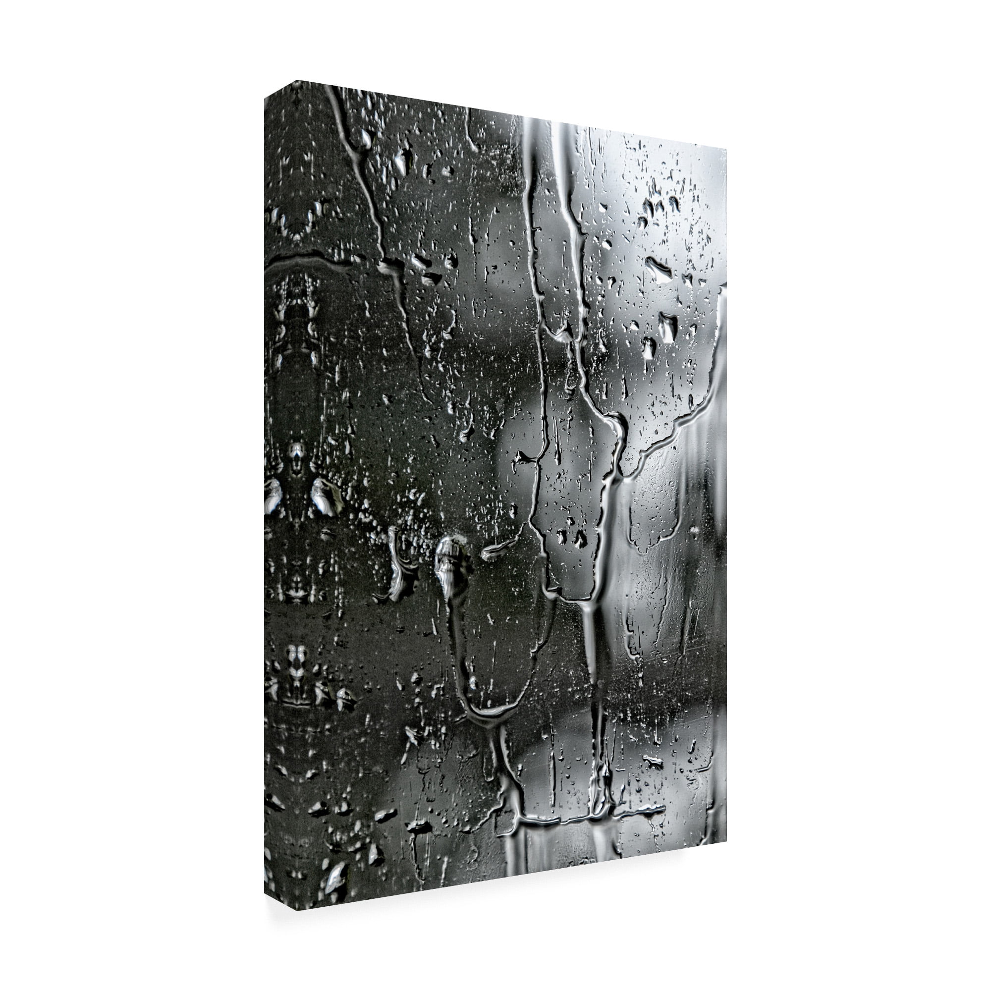 Trademark Fine Art 'BC Letting go' Canvas Art by Beata Czyzowska Young