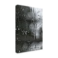 thumbnail image 2 of Trademark Fine Art 'BC Letting go' Canvas Art by Beata Czyzowska Young, 2 of 3