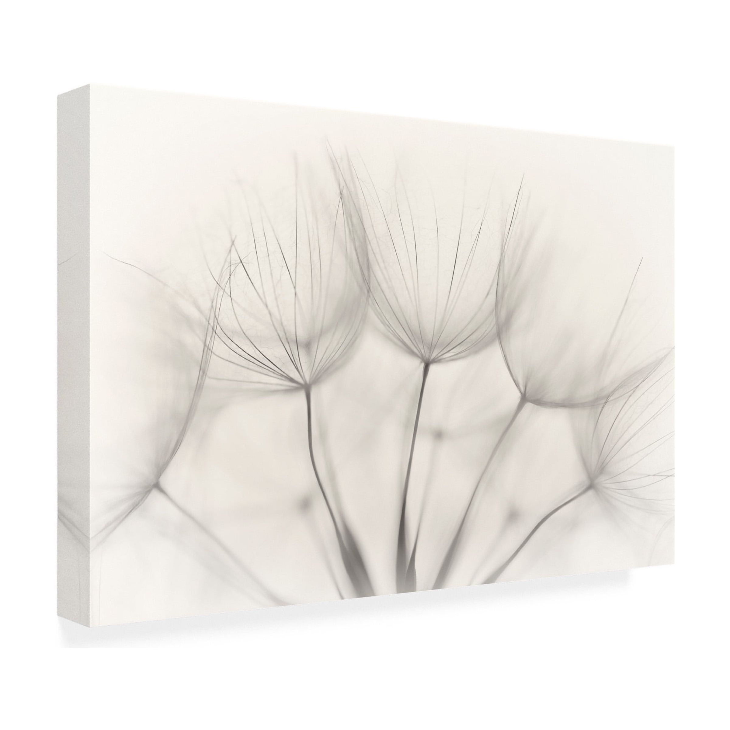 Trademark Fine Art Jakob Arnholtz Untitled Canvas Wall Art - 30x47