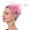 Pink, variant on HuangHuanChen Women's Headpiece Hat Clip Fascinators Hats for Women Tea Party Hats Feather Veil Headband for Wedding Cocktail Dresses Accessories Kentucky Derby Hats for Women Light Green One Size