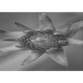 thumbnail image 1 of Ahgly Company Machine Washable Indoor Rectangle Transitional Gunmetal Gray Area Rugs, 8' x 10', 1 of 7