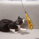 thumbnail image 5 of 10 recambios para juguetes de gatitos con cascabel y varita., 5 of 8