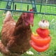 thumbnail image 5 of Alimentador de acero inoxidable Fruta Maíz Tenedor Pollo Verduras Titular Alimentación colgante Hugtrwg Para estrenar, 5 of 8