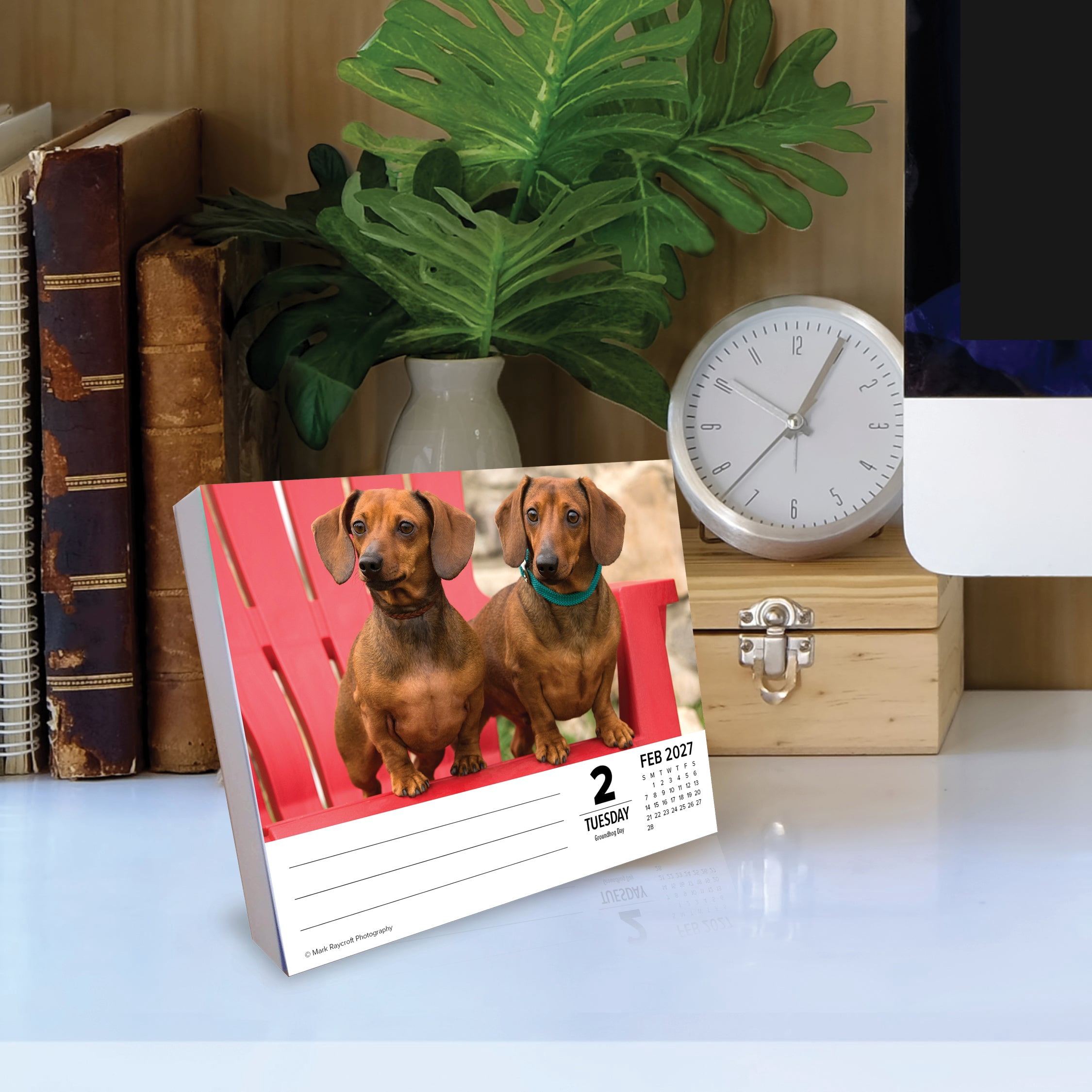 Willow Creek Press, Dachshunds 2027 Box Calendar
