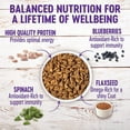Wellness Complete Health GrainFree Small Breed Dry Dog Food, Natural