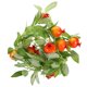 thumbnail image 1 of 1pc Hanging Rattan Cherry Leaf Vine DIY Artificial Vine Botanical Greenery, 1 of 4