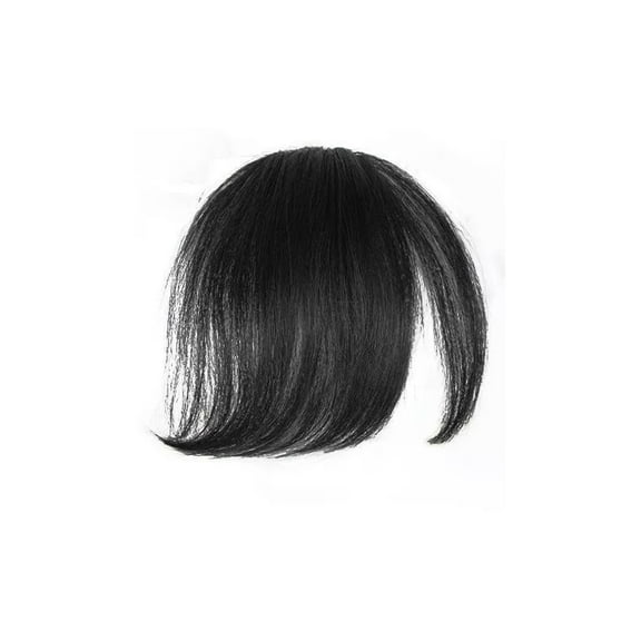 Slanted Bangs Hairpiece Heat Resistant Fiber Quick Hairstyle Hair Extension Natural Lookings Hair Piece for Women Wear
