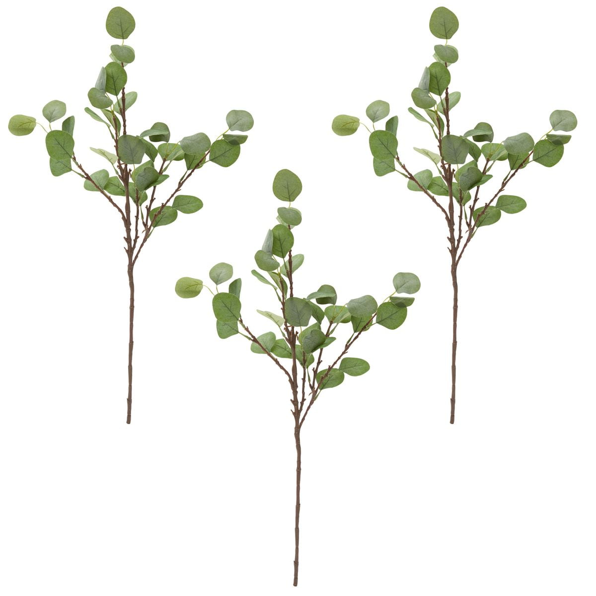 3 Pack Artificial Faux Eucalyptus Stems with Silver Dollar Leaves for